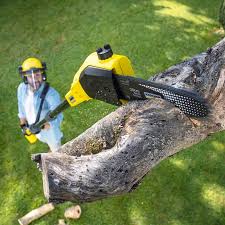 Best Lawn Pest Prevention  in Troup, TX