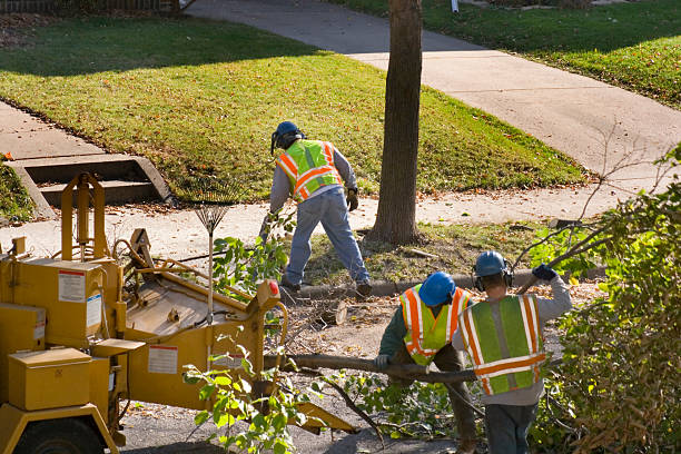 Best Aeration Services  in Troup, TX